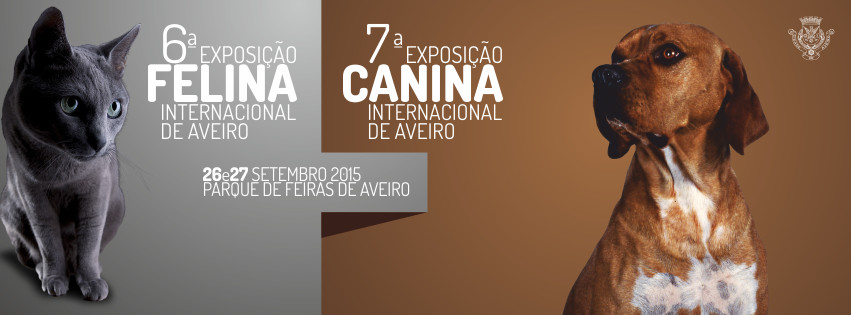 aveiro-expo