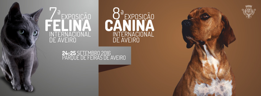expo canina aveiro